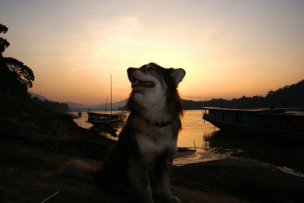 felpudo at the mekong river shore