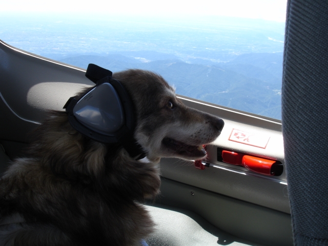 my favourite co-pilot and first officer on board